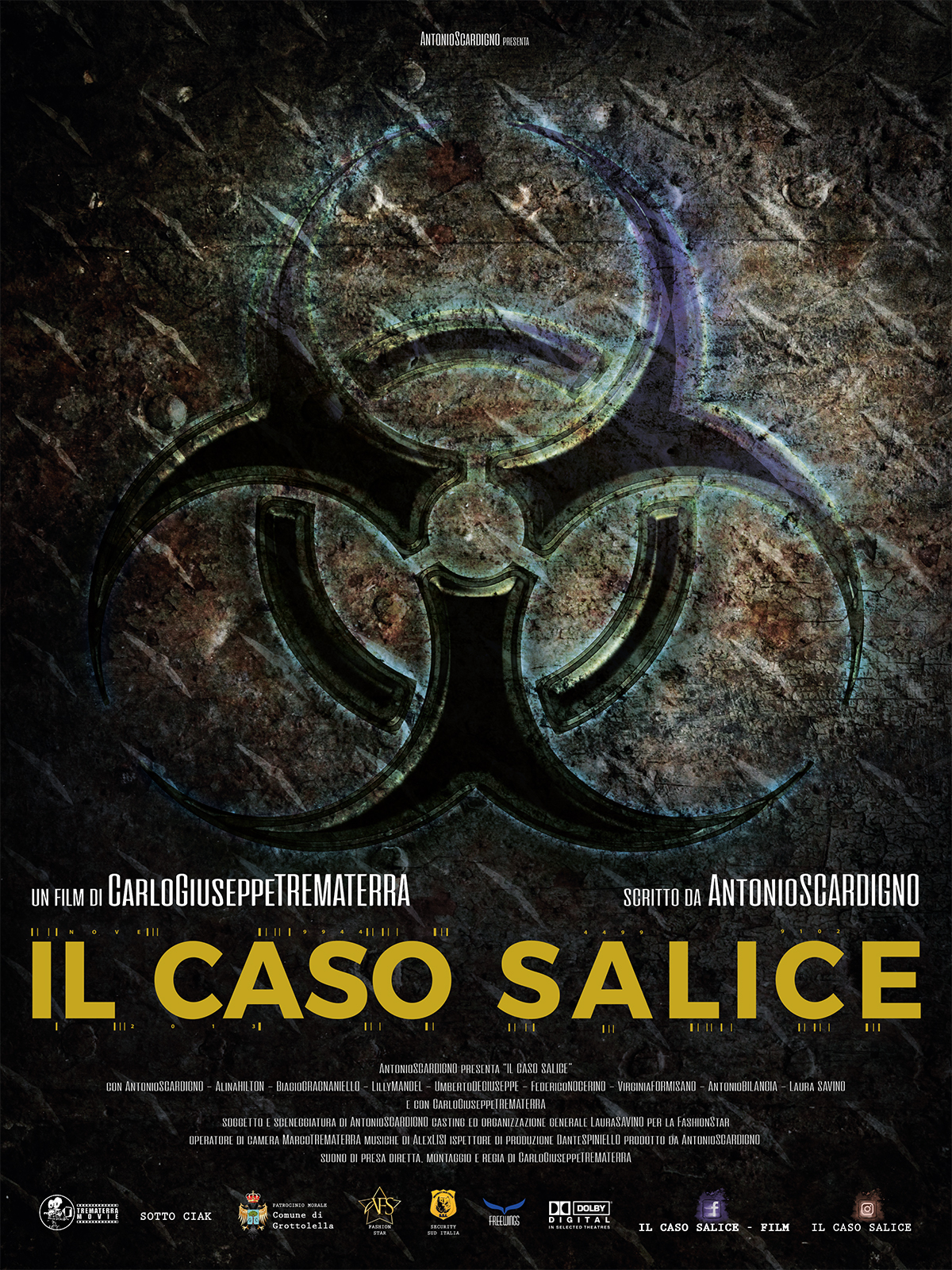 Il caso Salice (2020)